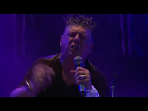 2019 Omar Codazzi - Se fosse reale