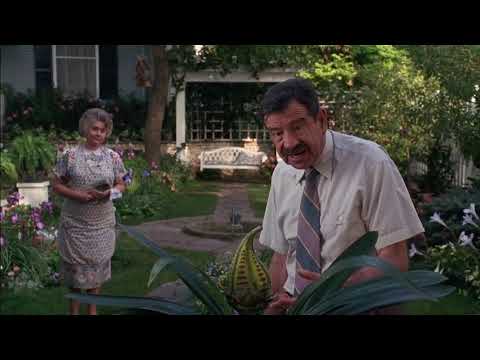 Dennis the Menace - 10 Seconds of Splendor