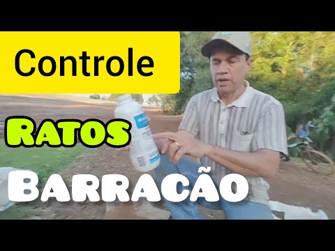 COMO FAZER ARMADILHAS  PARA CONTROLE DE RATOS. #CONTROLE RATOS, #Dedetização RATO,