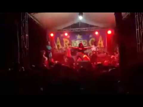 VEGA JELLY ARMEGA - PUTERI 02