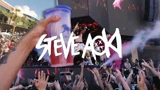 Steve Aoki 39 s Electric Takeover at Wet Republic all 2024