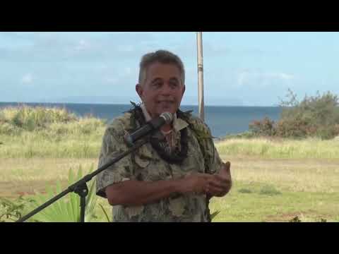 Native Plants That Thrive at Pāʻulaʻula