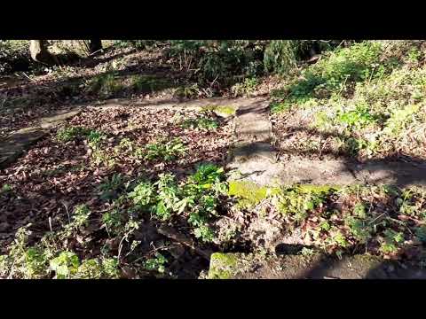 WW1, Zeppelin L32 Crash, Great Burstead Essex England