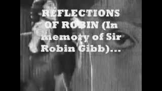 REFLECTIONS OF ROBIN-JIMMY STANLEY