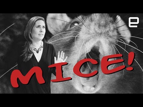 ICYMI: Mind-controlled mice kill on command