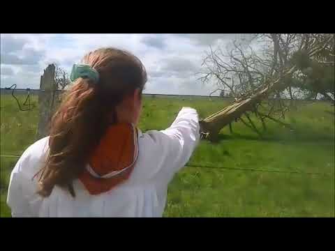 Sendero ¿Aún hay vida en el pueblo Ferrizo?