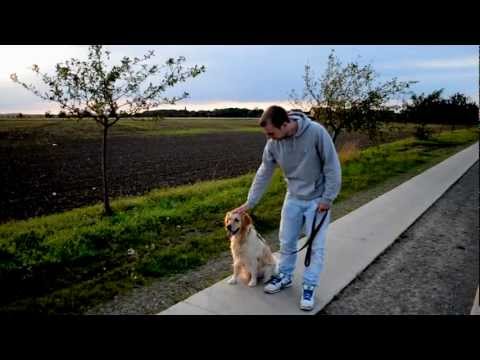 BRT 2012 Qualifikation - Einklang