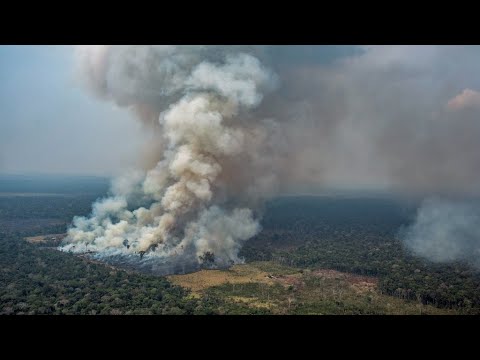 مجموعة السبع تتعهد بتقديم 20 مليون دولار لإخماد الحرائق في غابات الأمازون