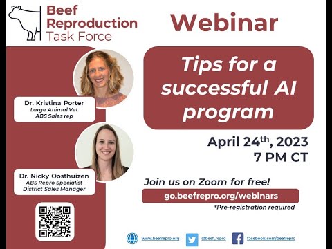 BRTF Spring Webinar - Tips for a successful AI program
