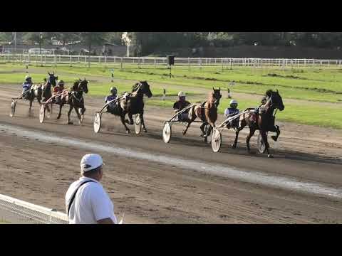 Trka "Subotička milja-II trčanje" 30.06.2019 Rite on Win - Dejan Katanić