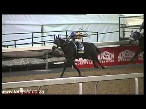 20150624 Greyville Race 8 won by NORIKI