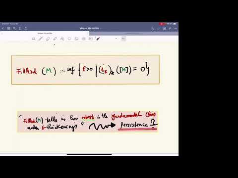 Facundo Mémoli: Vietoris-Rips Persistent Homology, Injective Metric Spaces, and The Filling Radius