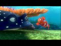 NEMO Swimming Out To Sea Dv