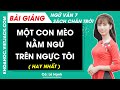 Một con mèo nằm ngủ trên ngực tôi Ngữ văn lớp 7 Chân trời sáng tạo