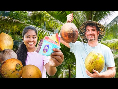 FIRST INCOME FROM OUR COCONUT FARM IN THE PHILIPPINES | ISLAND LIFE