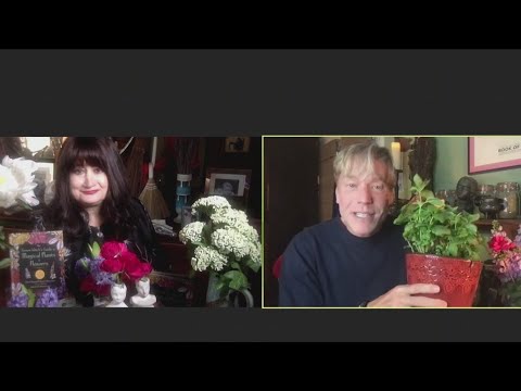 Unlock the Power of Plants: The health benefits and why you should embrace them