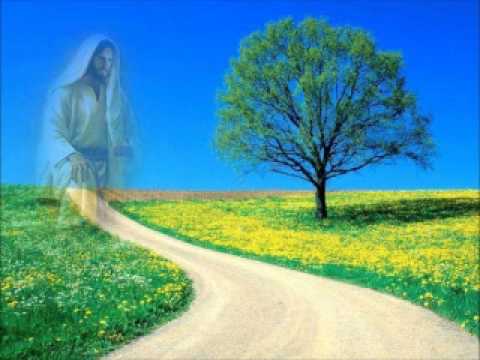 Palestra Sede Perfeitos