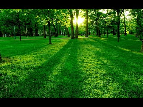download lagu mp3 mp4 Escuchar Coran En Arabe, download lagu Escuchar Coran En Arabe gratis, unduh video klip Download Escuchar Coran En Arabe Mp3 dan Mp4 Popular Gratis