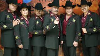 Si un gato muere los tucanes de Tijuana