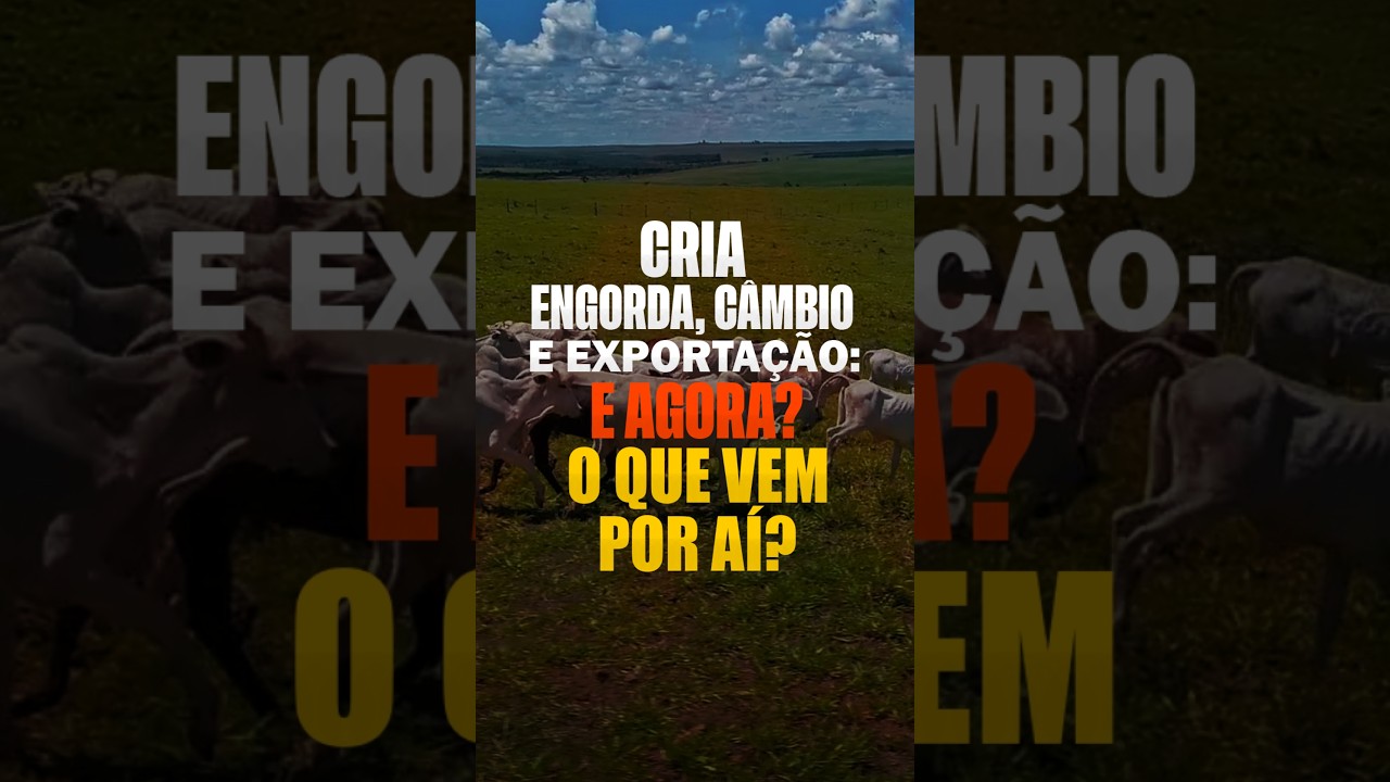 CRIA, ENGORDA, CÂMBIO E EXPORTAÇÃO: E AGORA? O QUE VEM POR AÍ?
