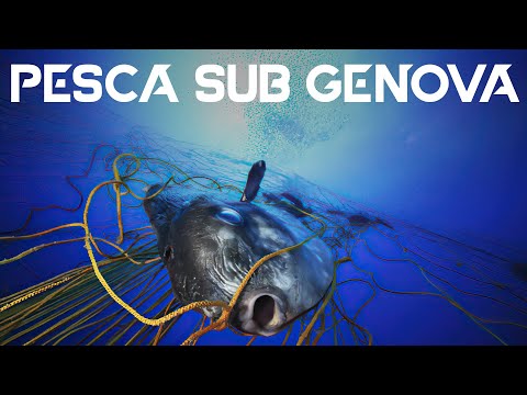 Pesca Sub Genova - L'incubo dei pescasub