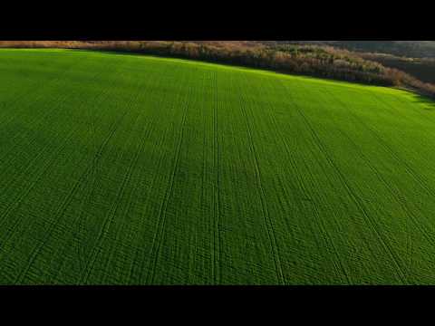 Moldova  s. Zgurița