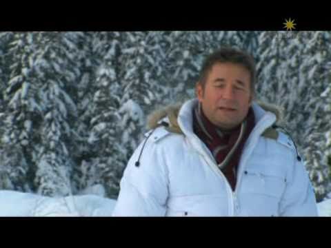 Gottfried Würcher - Du hast immer an mich geglaubt