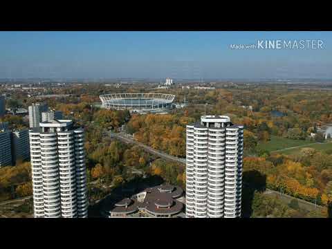Kukurydze jesienią. Osiedle Tysiąclecia - Katowice
