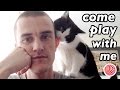 CAT BITING THE EAR LET S GO PLAY