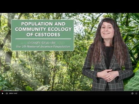 Population and community ecology of cestodes