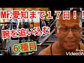 《じぃじの筋トレ》Mr.愛知ボディビル選手権大会まで17日!!腕を追い込む6種目!!