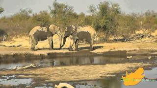 preview picture of video 'Zuid-Afrika: Waterberg en Madikwe'