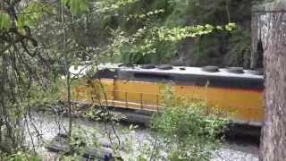 preview picture of video 'Ex-Union Pacific On CSX Old Main Line'