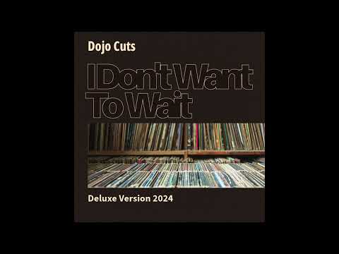 I Dont Want To Wait (Deluxe Version 2024)