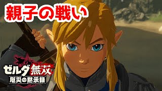 【実況】定年を迎えた父を再びハイラルの大地に放り込むPart4【ゼルダ無双 厄災の黙示録】