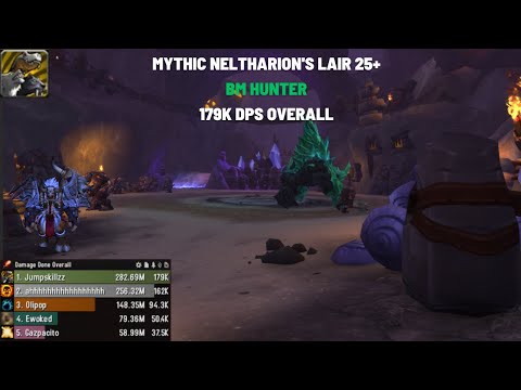 Mythic Neltharion's Lair 25+! 179k DPS Overall! BM Hunter! #WorldofWarcraft #Dragonflight 10.1.5