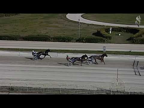 Aversa trotto 12 Marzo 2022 - Prova di qualifica