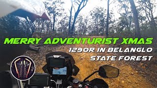 preview picture of video 'Merry Adventurist Xmas from Adventurist.TV - 1290R in Belanglo State Forest'