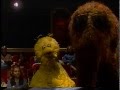 Sesame Street Going To A Movie