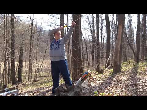 Just one turkish bow shoot просто выстрел