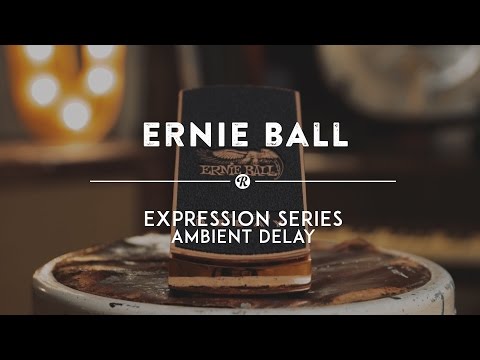 Ernie Ball P0-6184 Ambient Delay 2010s - Copper image 3