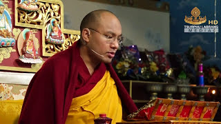 El precioso ornamento de la liberación 11/12