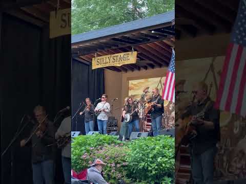 Caleb Meyer from The Amanda Cook Band