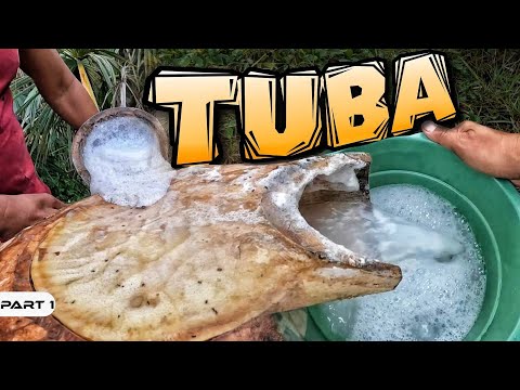 EP975-P1 - Pagkuha ng Tuba