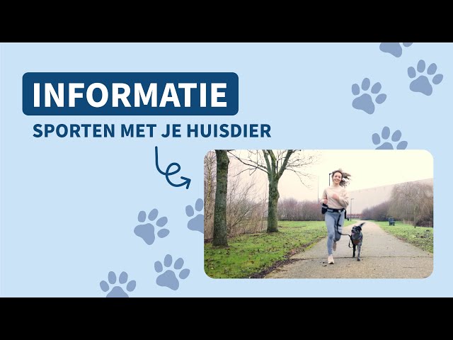 Sporten met uw huisdier