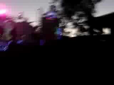 painkiller vs. bliss  genetic duality