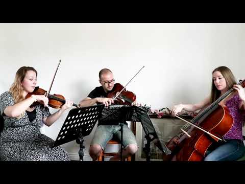 City of Stars - 'La La Land'  - String Trio Cover - Camilli String Quartet