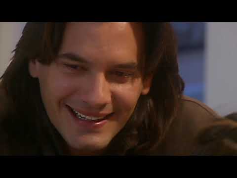 Wild Cat - Episode 243