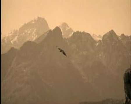 Modena City Ramblers - Lettera dal fronte