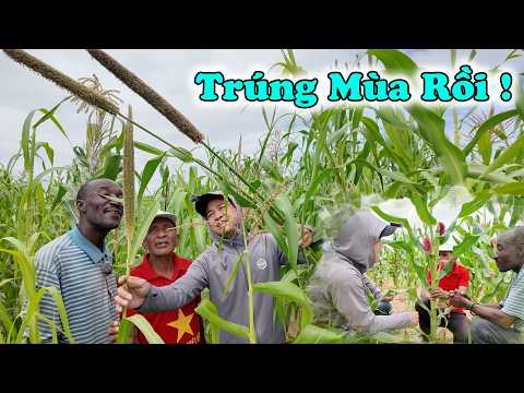 Thể Hiện Bản Lĩnh, Suốt Đời Chúng Tôi Không Bao Giờ Quên Ơn Này... Ấm No Rồi !!!